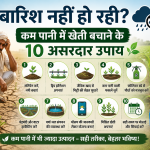 बारिश नहीं हो रही? कम पानी में खेती बचाने के 10 असरदार उपाय