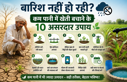 बारिश नहीं हो रही? कम पानी में खेती बचाने के 10 असरदार उपाय